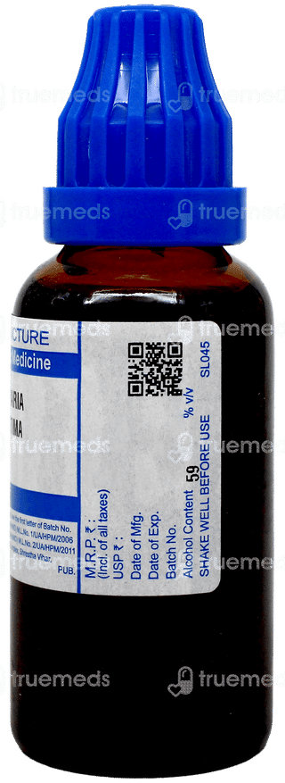 Sbl Cineraria Maritima Mother Tincture 30 Ml